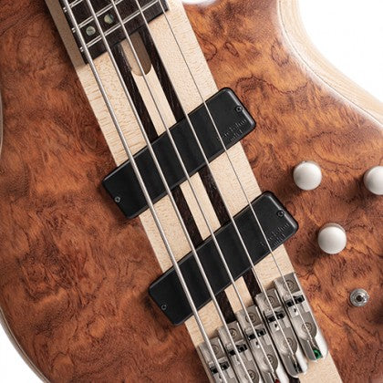 Đàn Guitar Bass 5-dây Cort A5 Beyond có pickup Bartolini MK-1