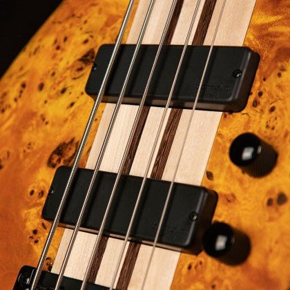 Đàn Guitar Bass 5-dây Cort A5 Plus SC có pickup Bartolimi MK-1