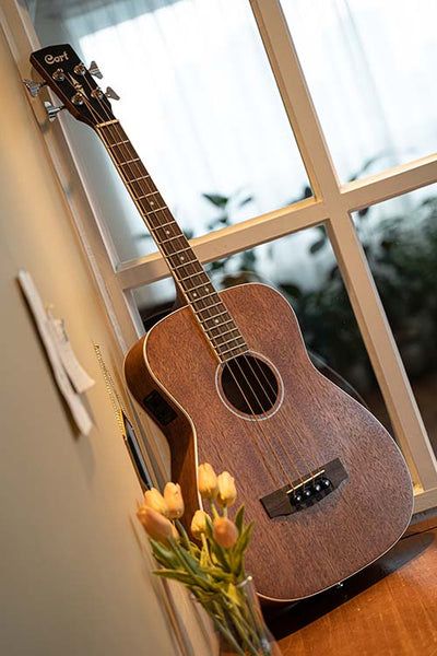 Đàn Guitar Acoustic Bass Cort AB590MF có chiều dài thang âm 628mm
