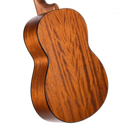 Đàn Guitar Classic Cort AC100 có mặt sau và bên gỗ mahogany