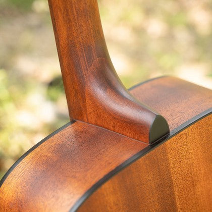 Đàn Guitar Acoustic Cort AD810 có khớp nối cổ đuôi én