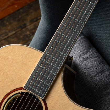 Đàn Guitar Acoustic Cort Little Forest Angel có mặt phím gỗ ebony