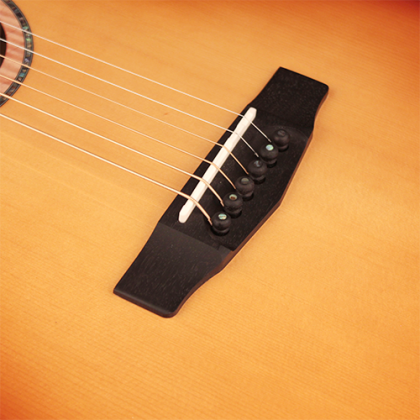 Đàn Guitar Acoustic Limited Edition Cort PR-LE MY có ngựa đàn và mặt phím gỗ ebony