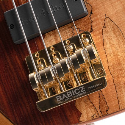 Đàn Guitar Bass 4-dây Cort Rithimic có ngựa đàn Babicz FCH4 Gold