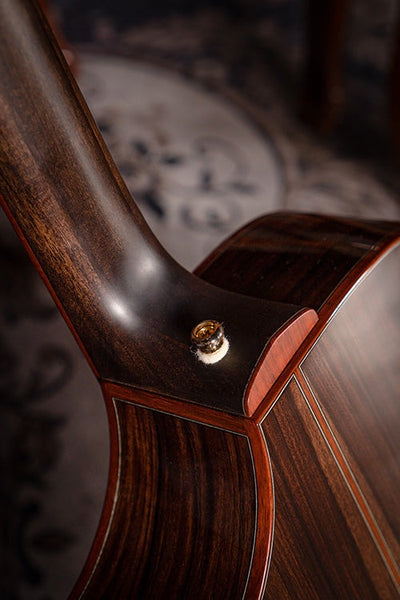 Đàn Guitar Acoustic Limited Edition Cort Roselyn LE có cần đàn 5 mảnh gỗ mahogany và gỗ walnut