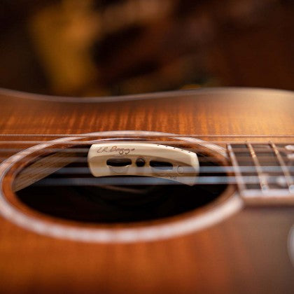 Đàn Guitar Acoustic Limited Edition Cort The Black Tree được tích hợp bộ thu âm LR Baggie Anthem
