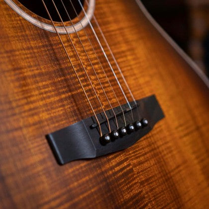 Đàn Guitar Acoustic Limited Edition Cort The Black Tree có ngựa và chốt được làm từ gỗ ebony
