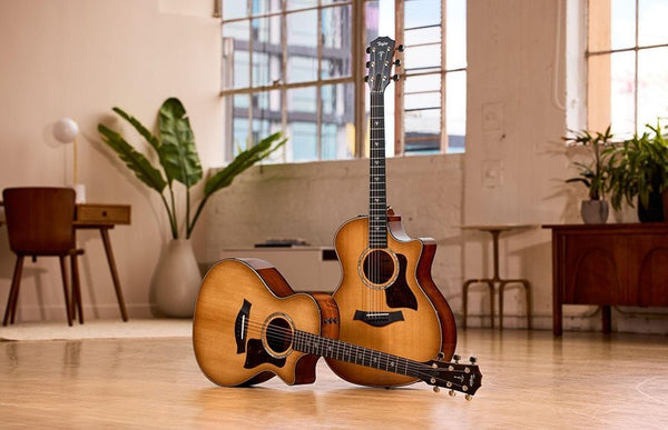 Đàn Guitar Acoustic Taylor 552ce