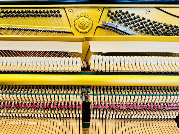 Đàn Piano Cơ Upright Yamaha U1H PE