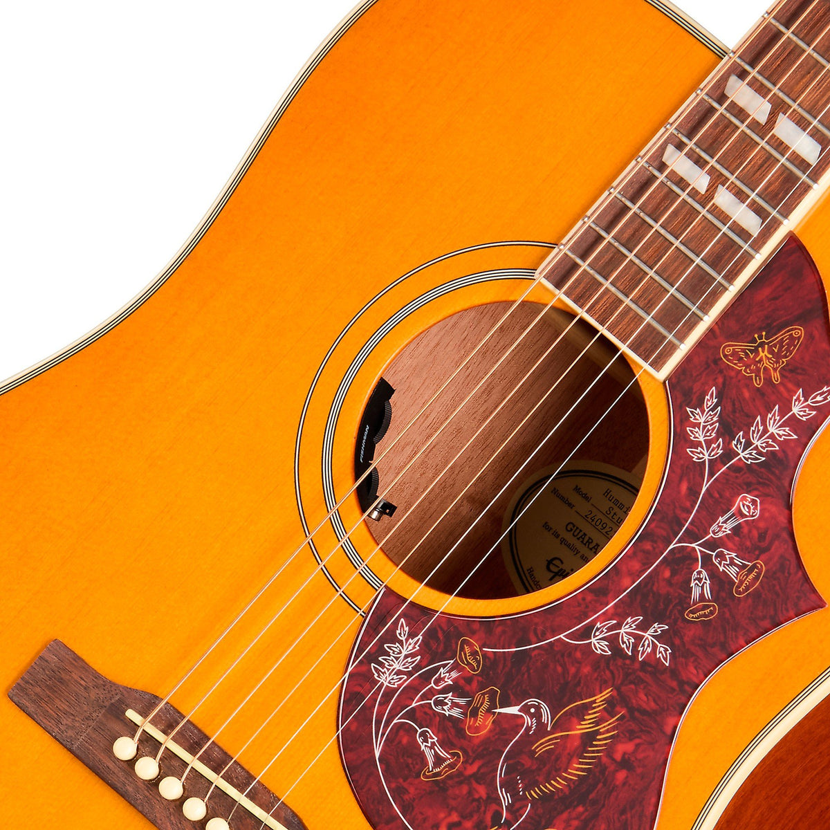 Đàn Guitar Acoustic Epiphone Hummingbird Studio