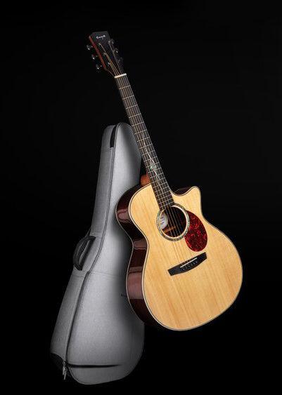 EGA-Q1 Pro