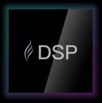 Chip DSP S1 