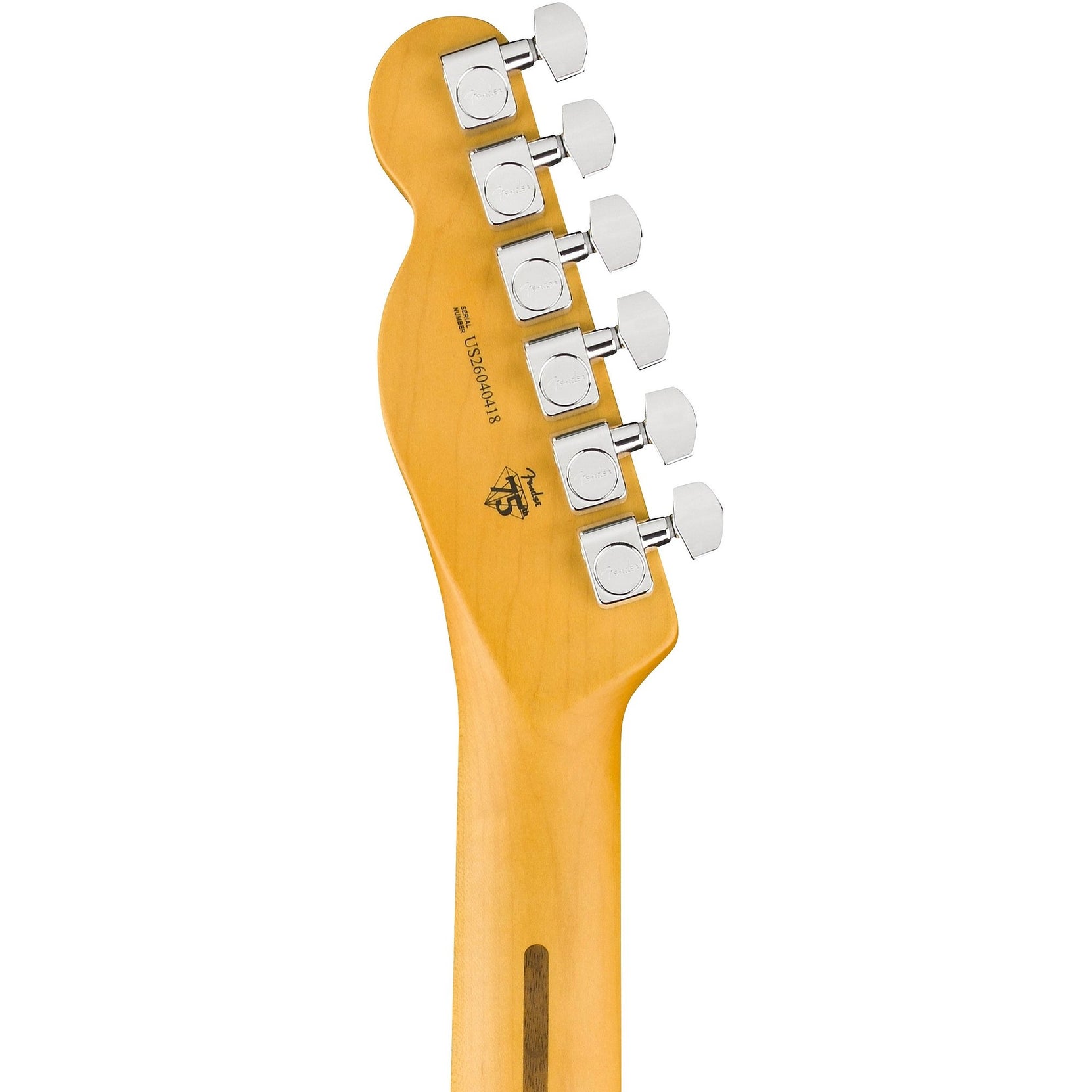 Đàn Guitar Điện Fender American Professional Telecaster - Rosewood Fingerboard