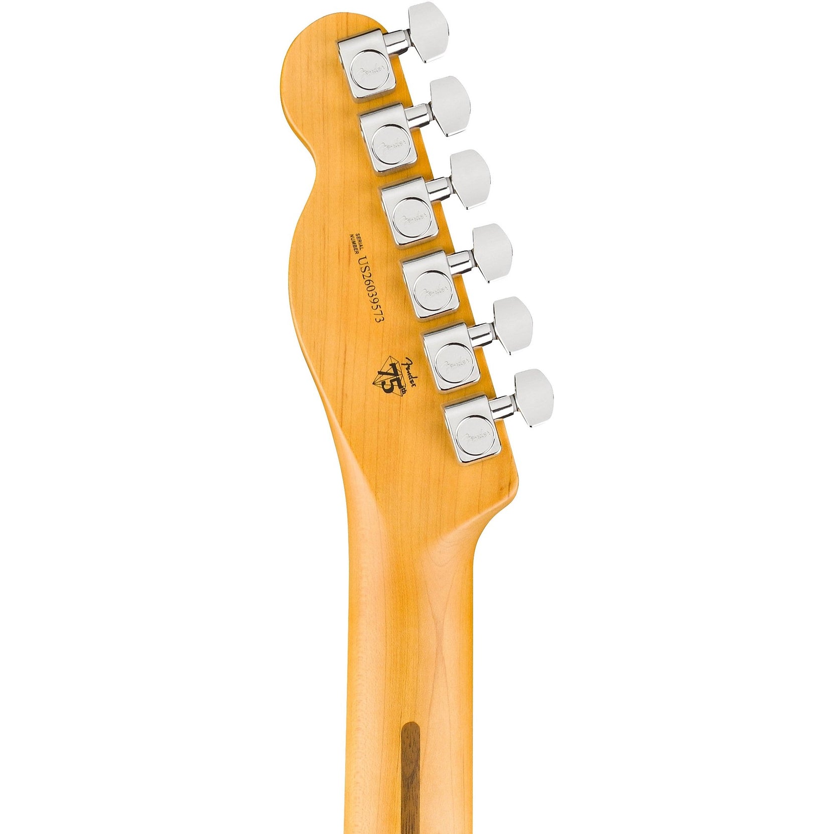 Đàn Guitar Điện Fender American Professional Telecaster - Rosewood Fingerboard