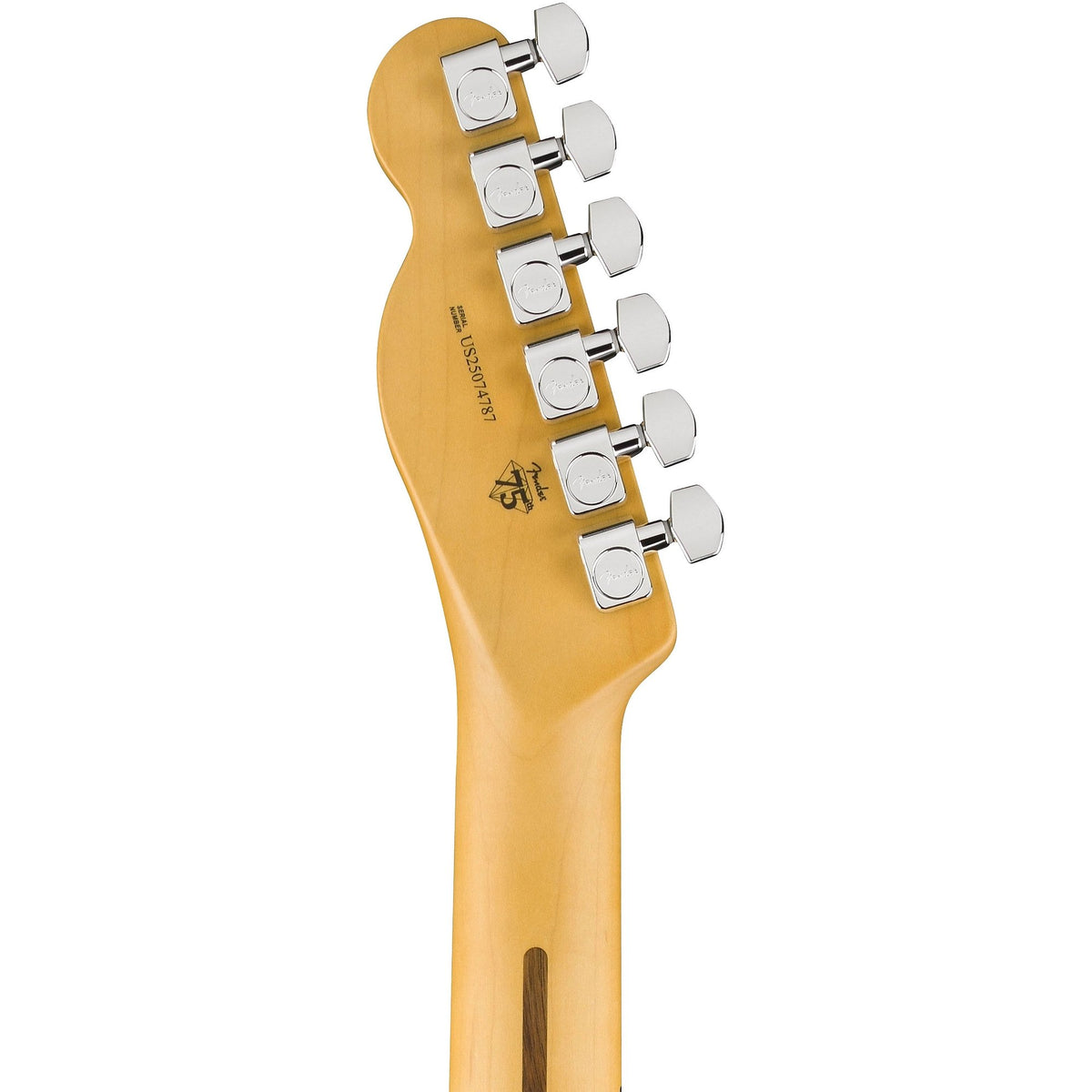 Đàn Guitar Điện Fender American Professional Telecaster - Maple Fingerboard