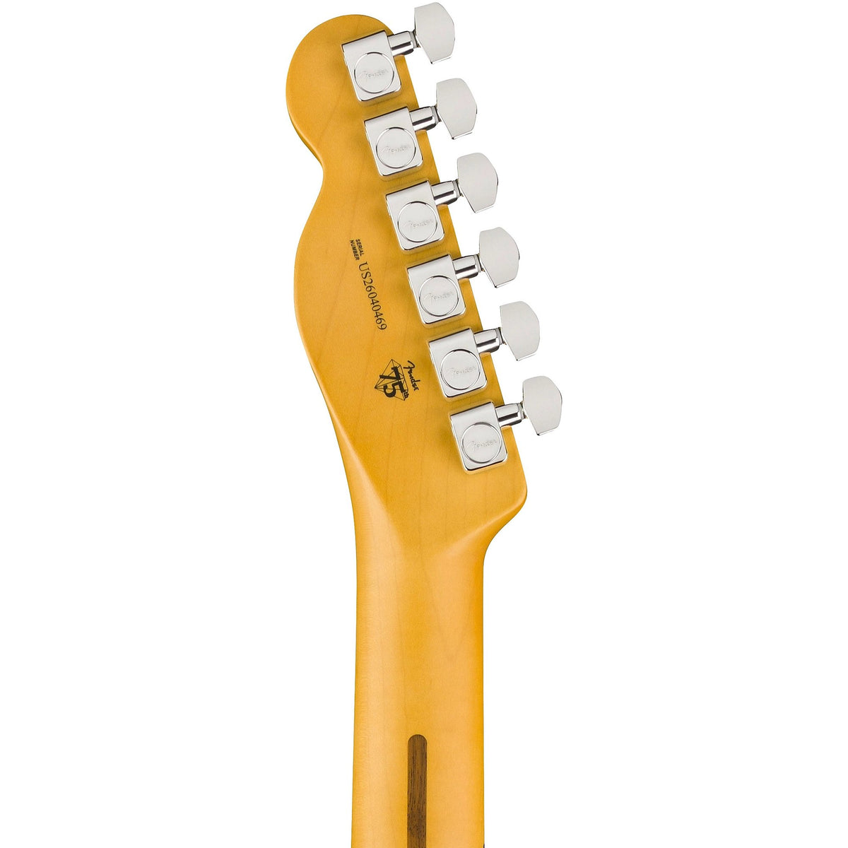 Đàn Guitar Điện Fender American Professional Telecaster - Maple Fingerboard