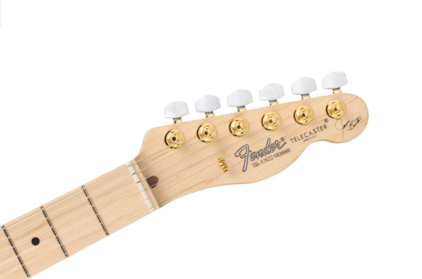 Fender Artist James Burton Telecaster MN, Red Paisley Flames