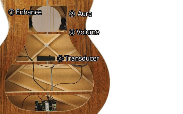 Hệ thống Fishman Aura VT Blend