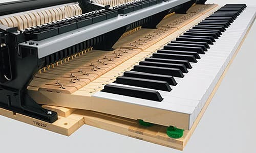 Khoảng cách điểm tựa từ phím đàn