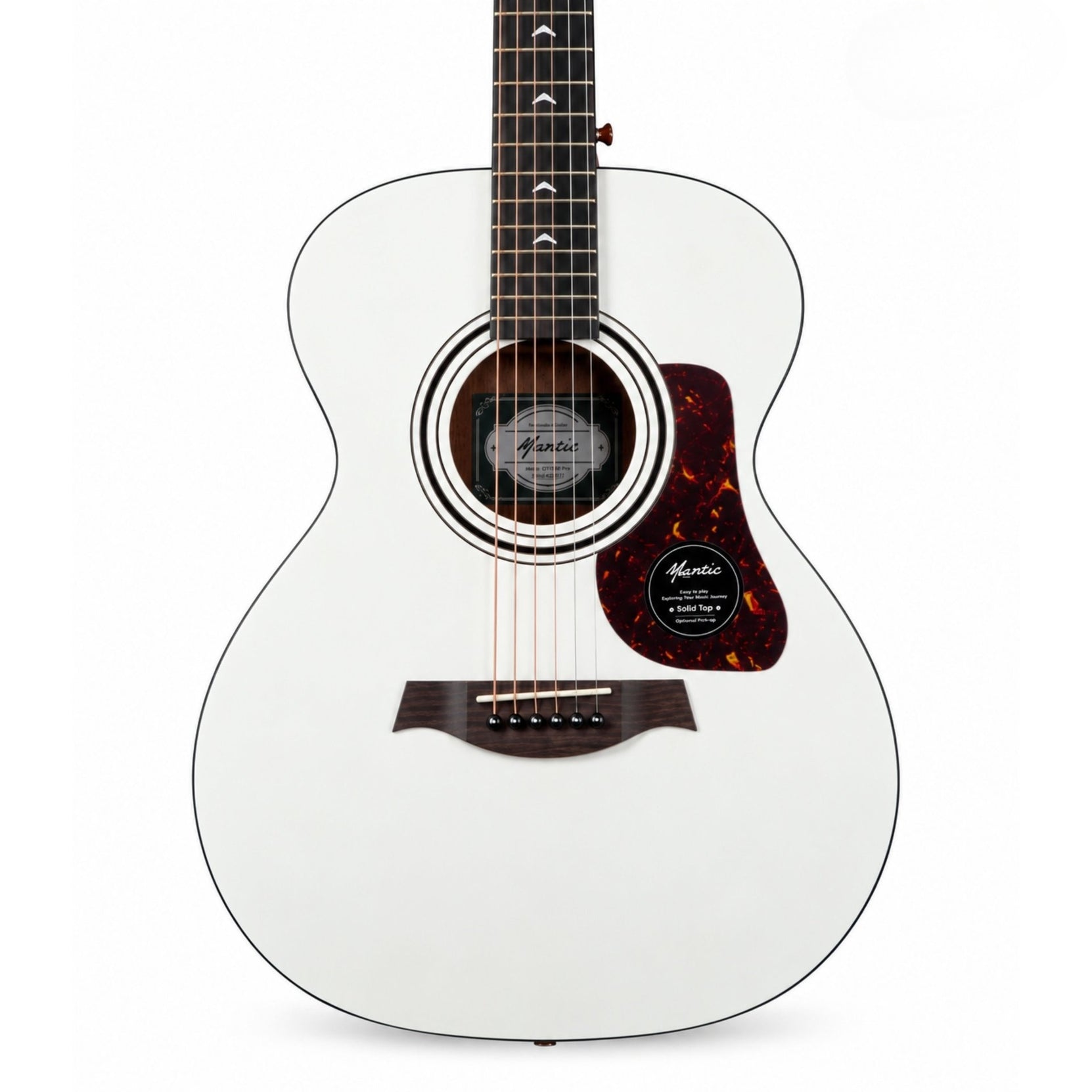 Đàn Guitar Acoustic Mantic GT10M Pro