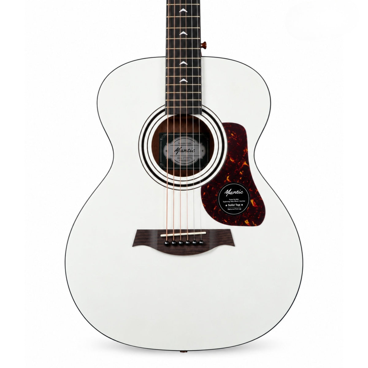 Đàn Guitar Acoustic Mantic GT10M Pro