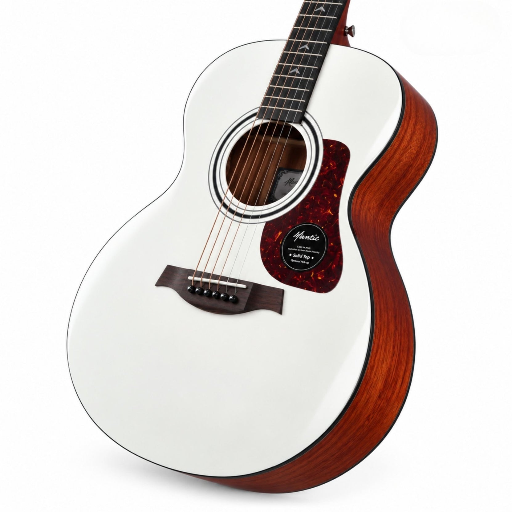 Đàn Guitar Acoustic Mantic GT10M Pro