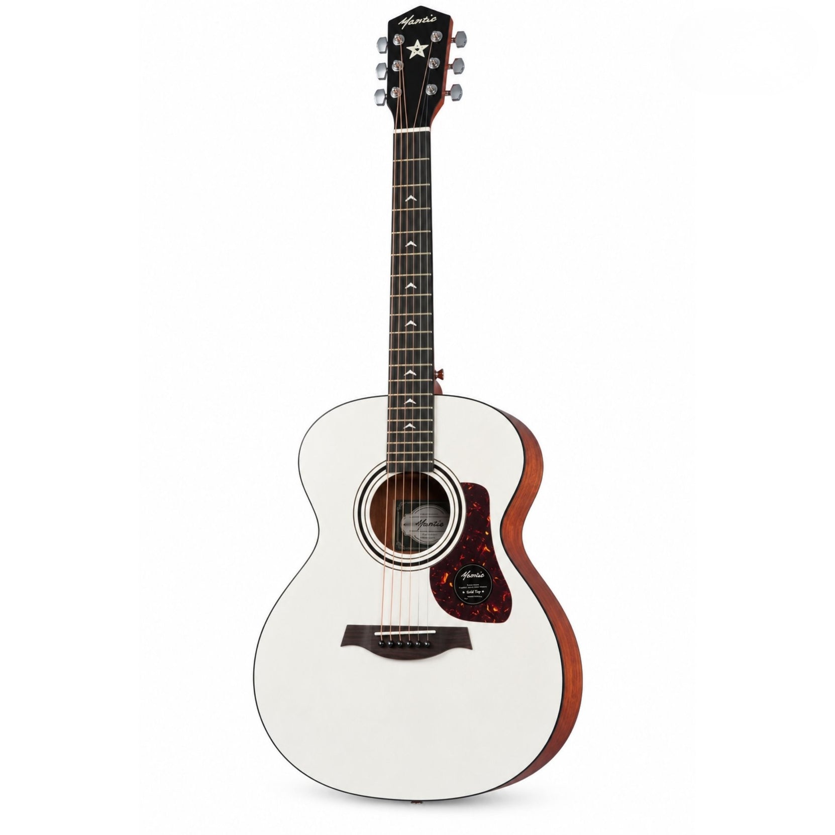 Đàn Guitar Acoustic Mantic GT10M Pro