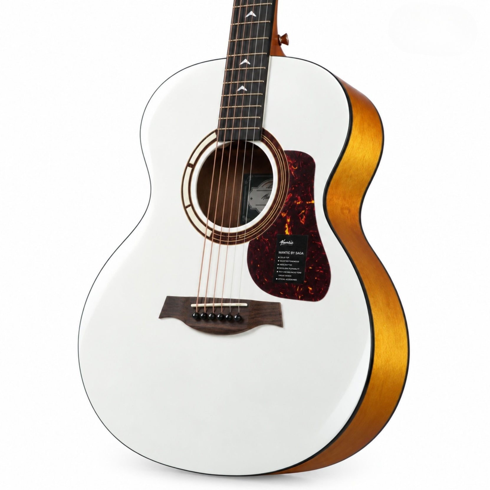 Đàn Guitar Acoustic Mantic GT1M Pro