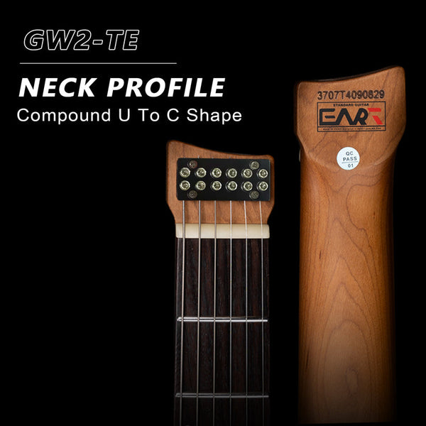 GW2-TE radius