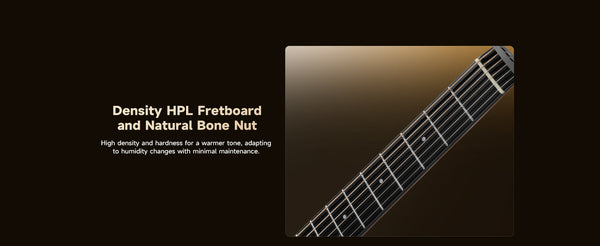 Natural Bone Nut Và Stainless Steel Frets