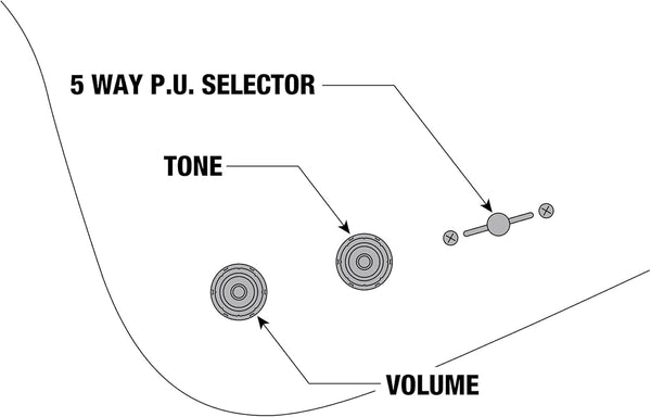 Ibanez Controls FRM300