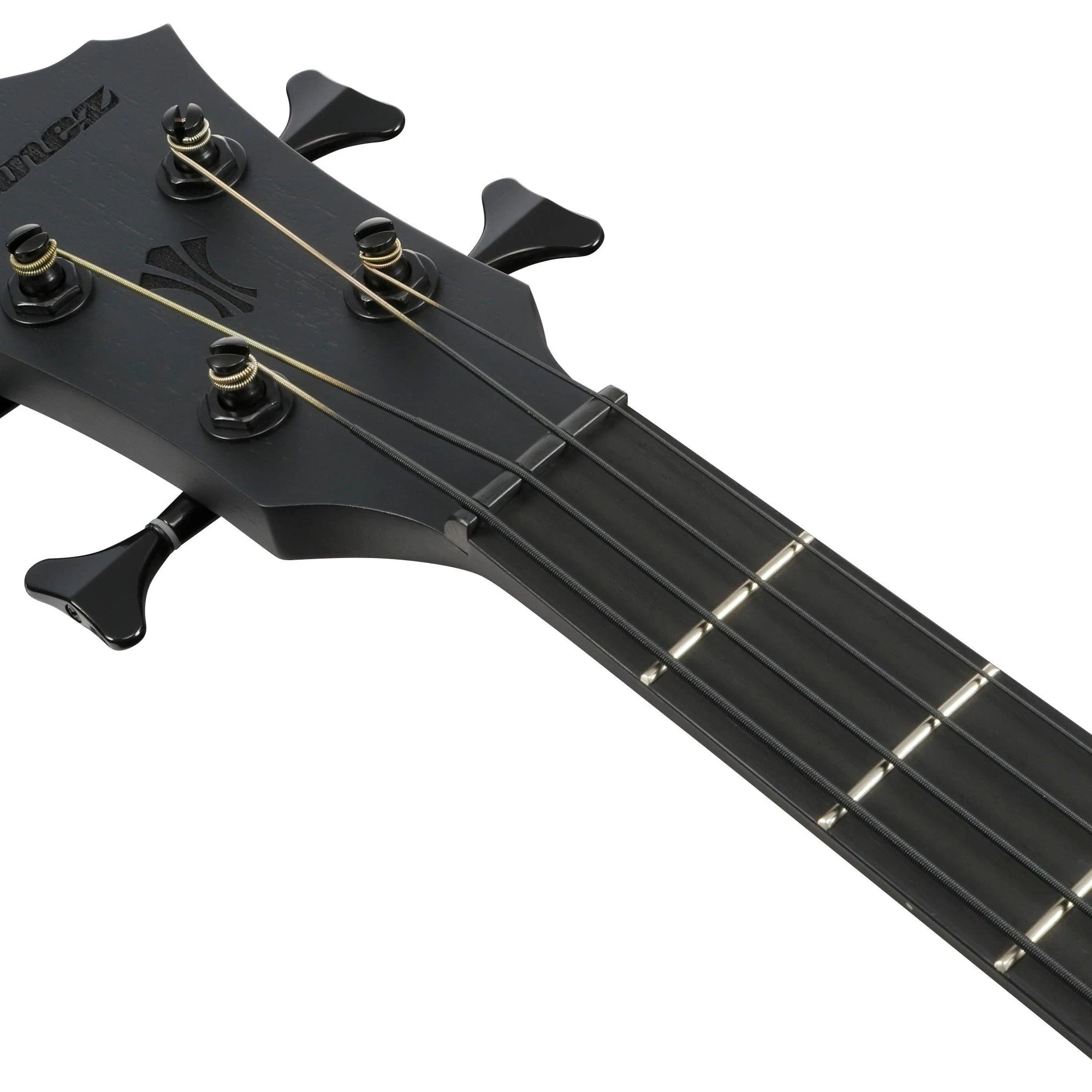 Đàn Guitar Acoustic Bass Ibanez AEGB420 - Black Out