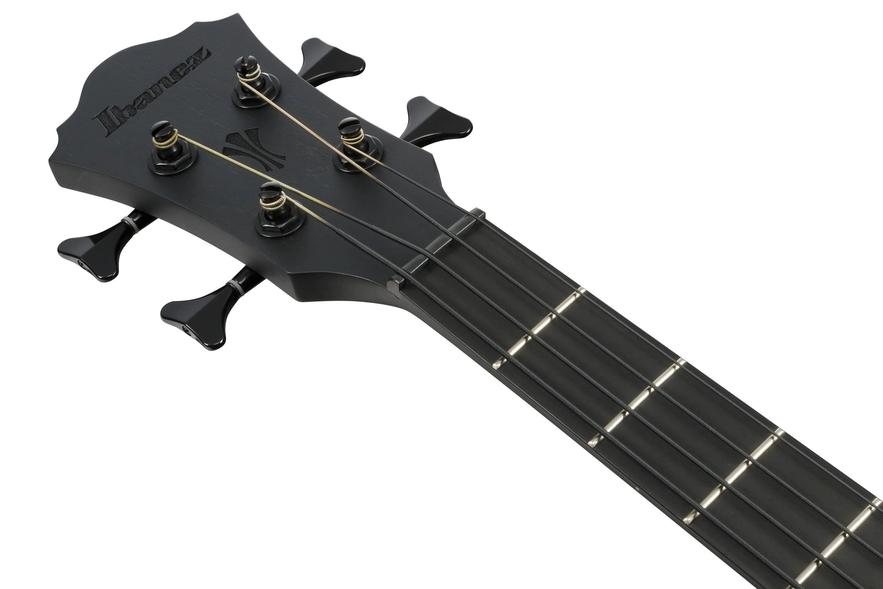 Đàn Guitar Acoustic Bass Ibanez AEGB420 - Black Out