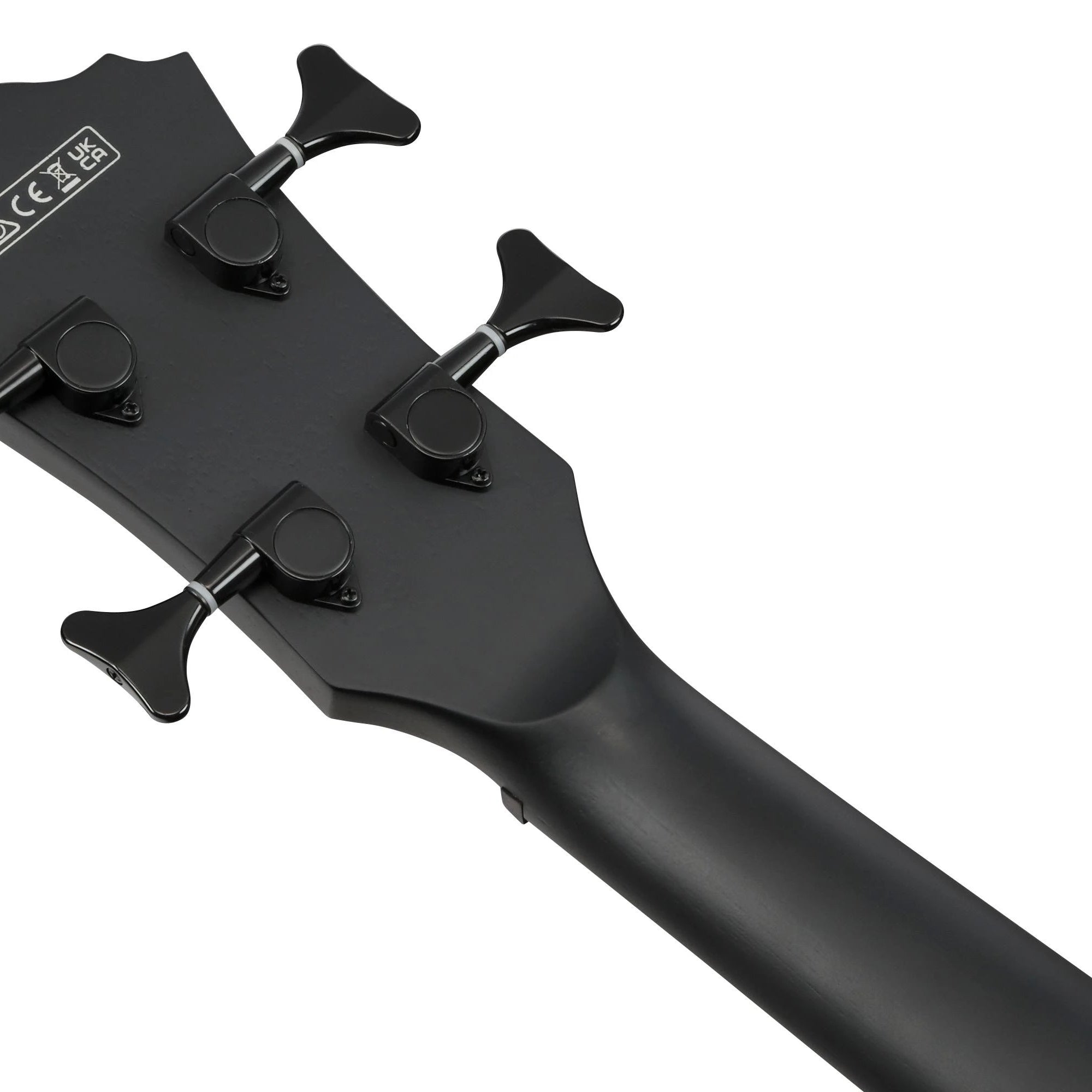 Đàn Guitar Acoustic Bass Ibanez AEGB420 - Black Out