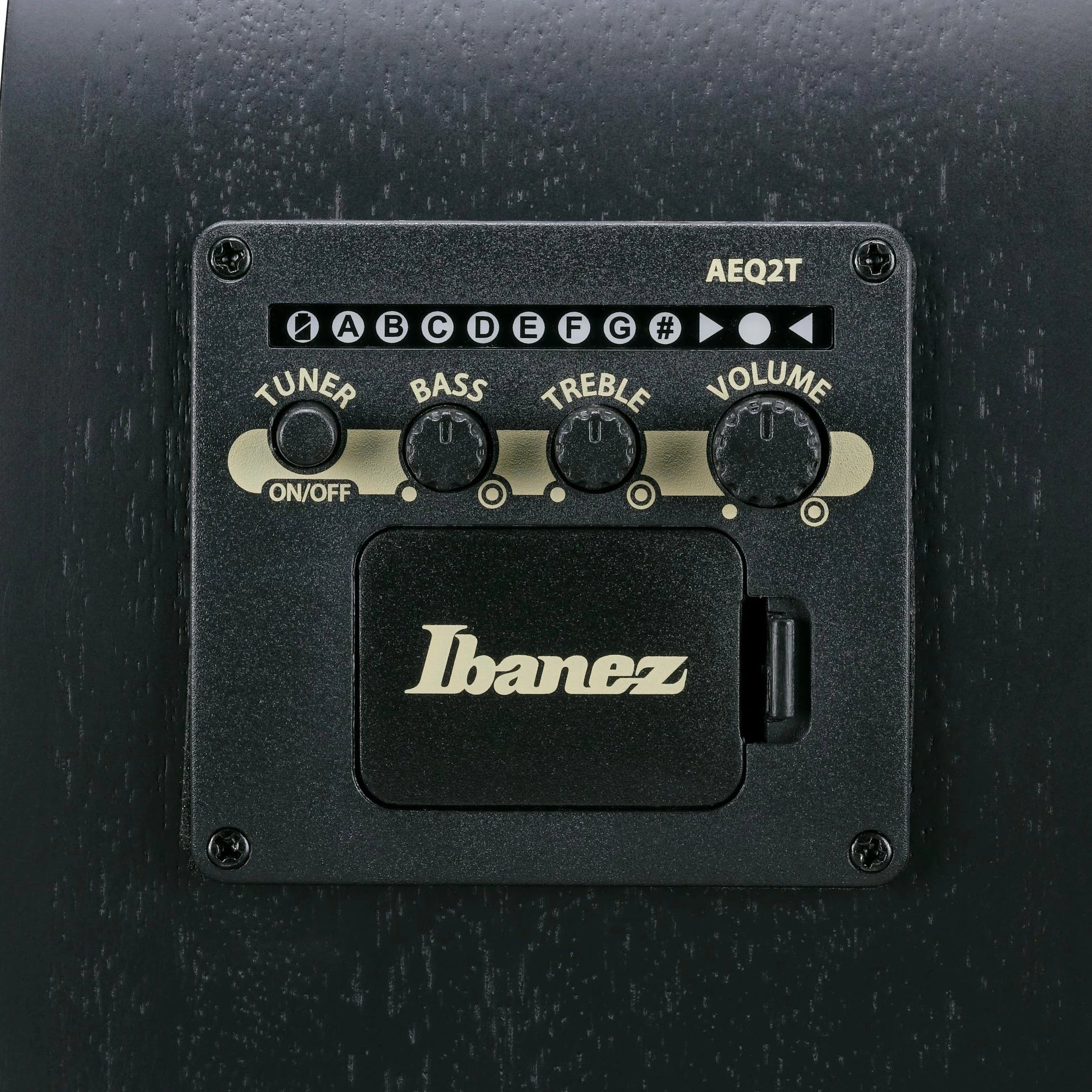Đàn Guitar Acoustic Bass Ibanez AEGB420 - Black Out
