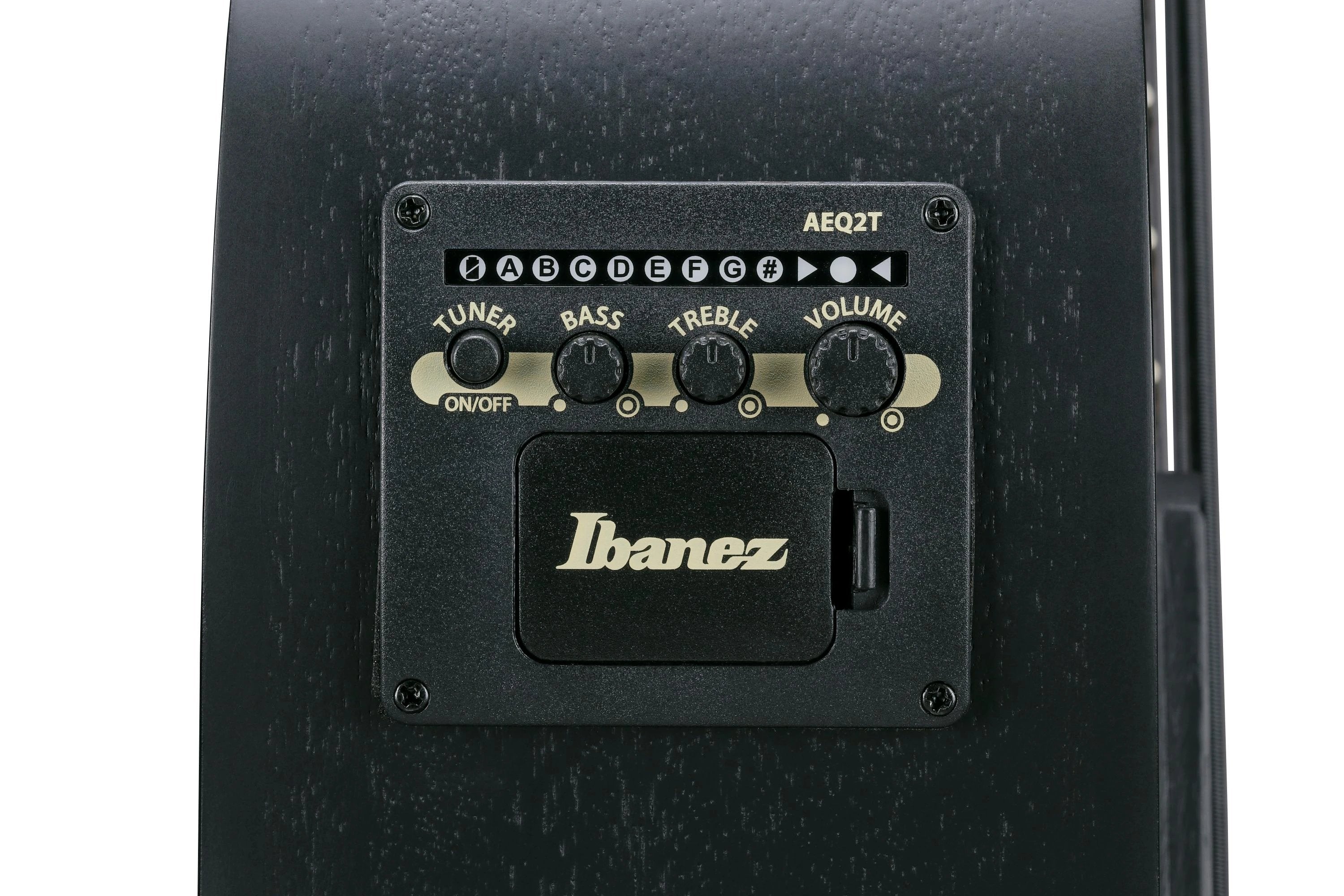 Đàn Guitar Acoustic Bass Ibanez AEGB420 - Black Out