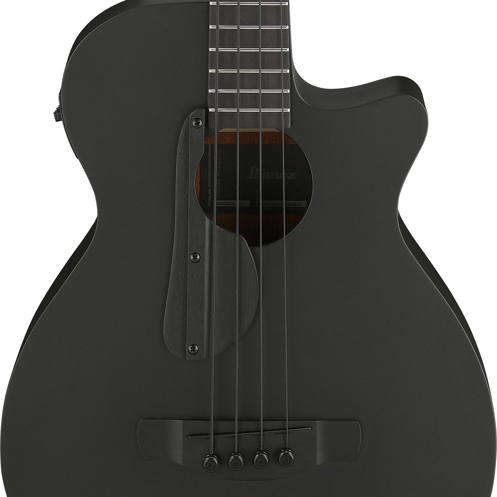 Đàn Guitar Acoustic Bass Ibanez AEGB420 - Black Out