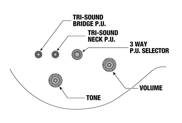 Controls trên Đàn Guitar Điện Ibanez AR Standard AR520HME Semi-Hollowbody