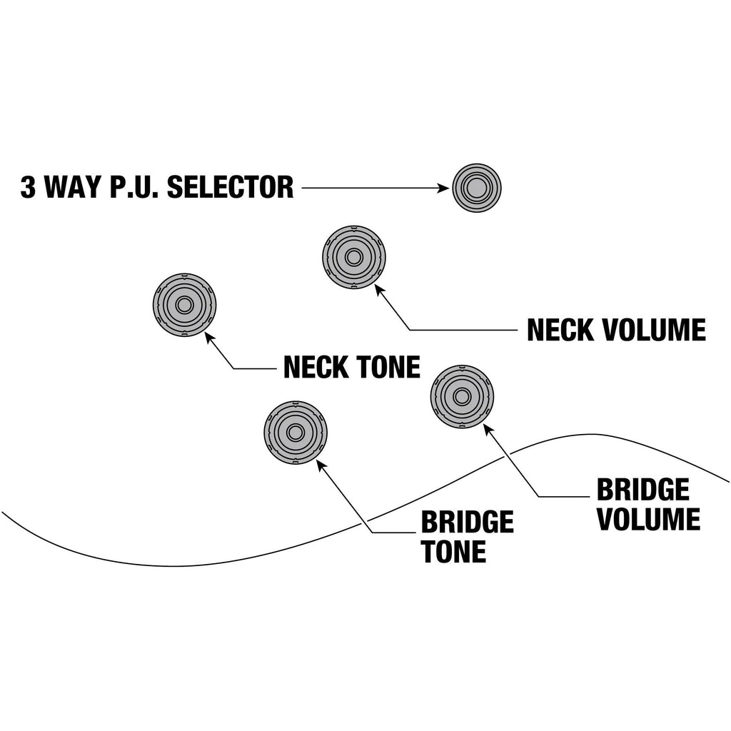 Controls Đàn Guitar Điện Ibanez AS73 Artcore Semi-Hollowbody