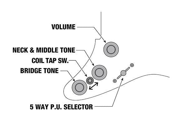 Ibanez Controls ATZ10P