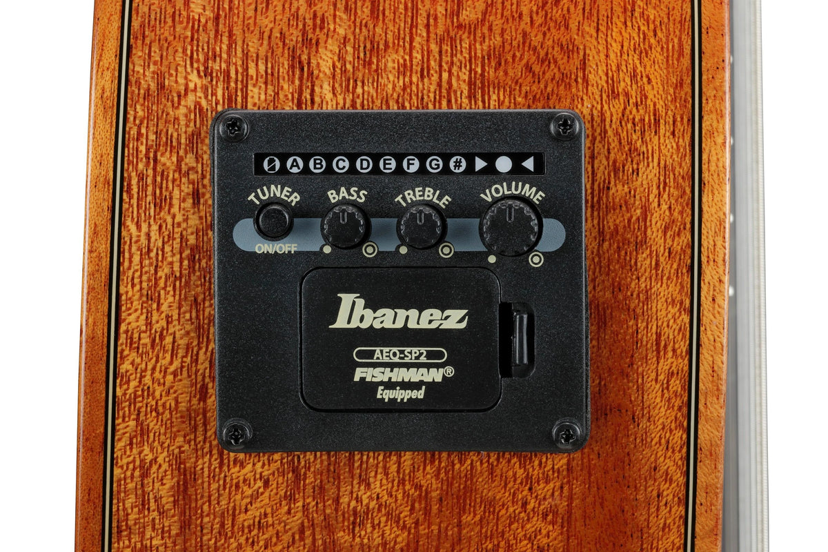 Đàn Guitar Classic 8-dây Ibanez GA3008CE - Natural