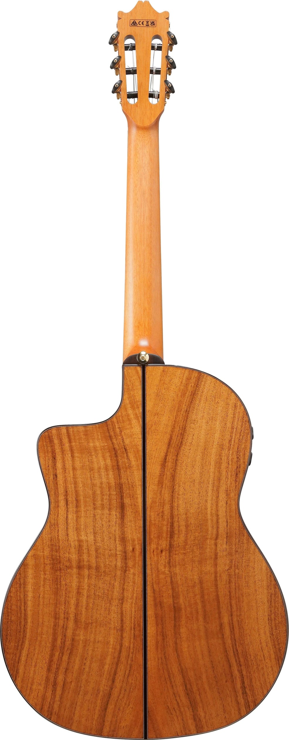 Đàn Guitar Classic Ibanez GA360TCE