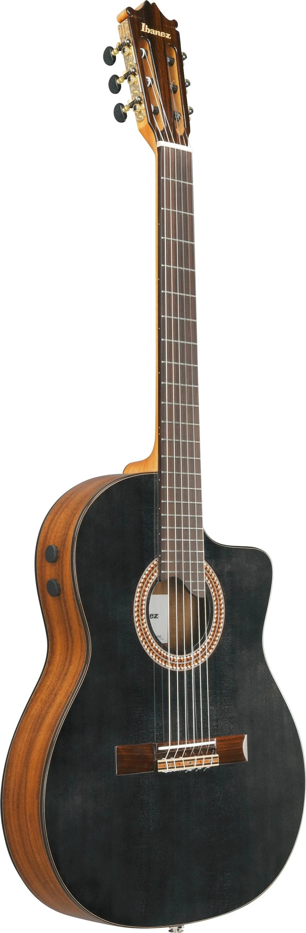 Đàn Guitar Classic Ibanez GA360TCE