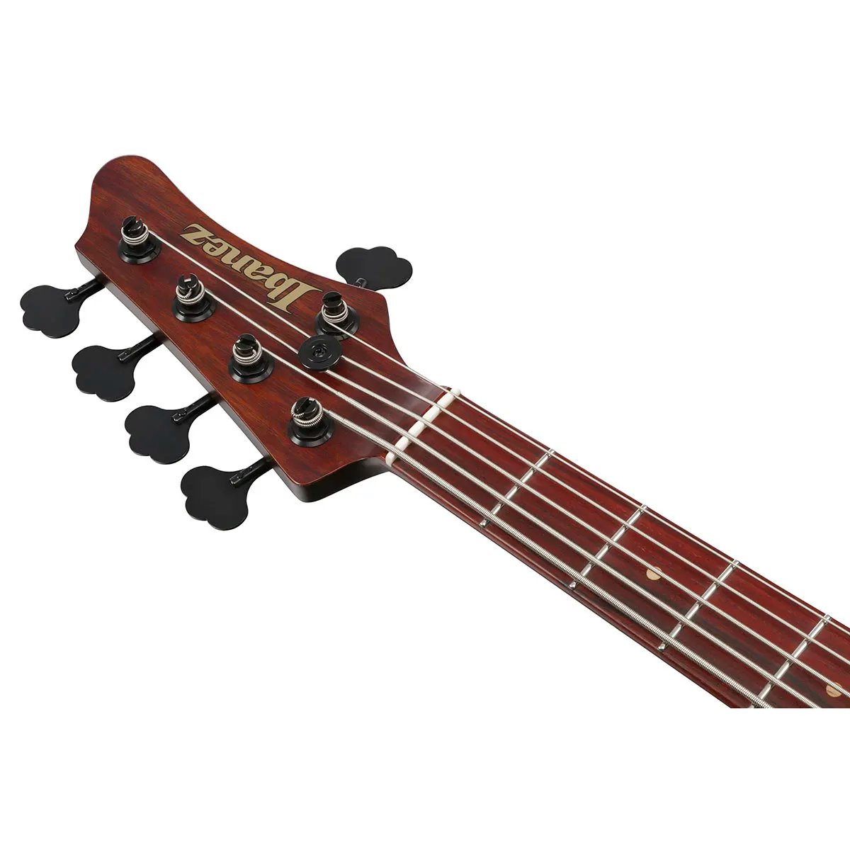 Đàn Guitar Bass 5-dây Ibanez IV2MDM Custom Shop - Natural Black Limba
