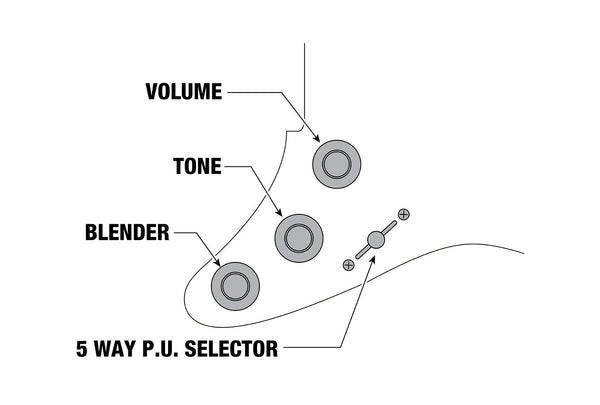 Ibanez Controls LM1