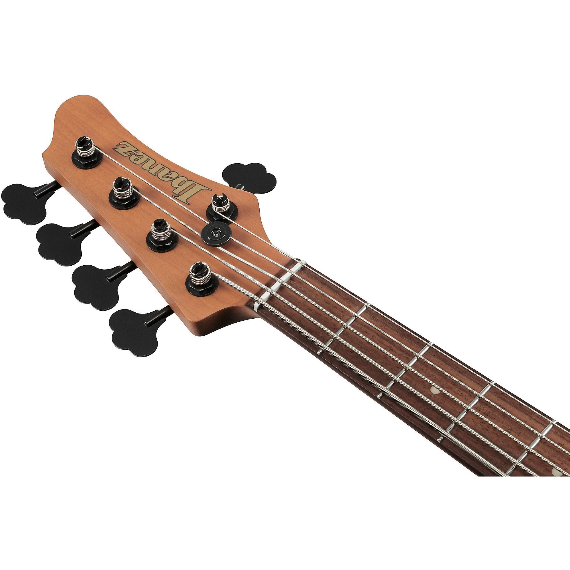 Đàn Guitar Bass 5-dây Ibanez MDM1005 Mode
