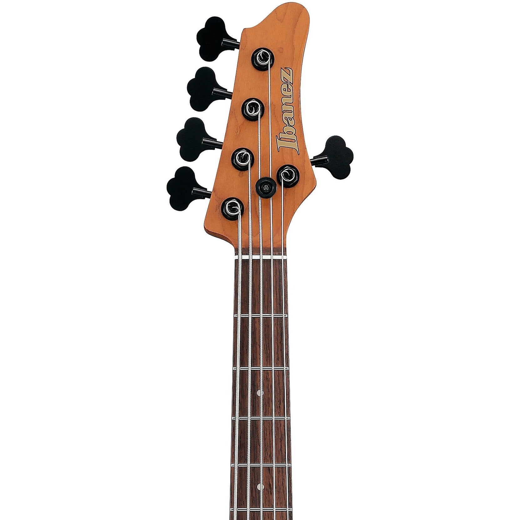 Đàn Guitar Bass 5-dây Ibanez MDM1005 Mode