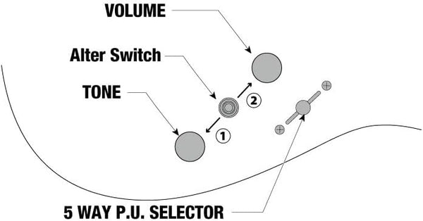 Ibanez Controls MM1