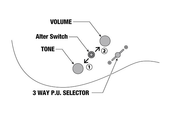 Ibanez Controls TQMS1