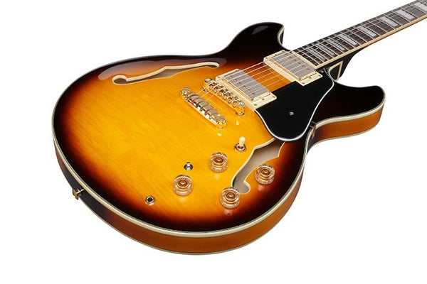 Đàn Guitar Điện Ibanez JSM10EM